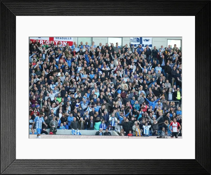 Framed Print : Brighton and Hove Albion vs. Southampton: A Premier League Battle at the American Express Community Stadium (29OCT17) Framed Print : Brighton and Hove Albion vs. Southampton: A Premier League Battle at the American Express Community Stadium (29OCT17)