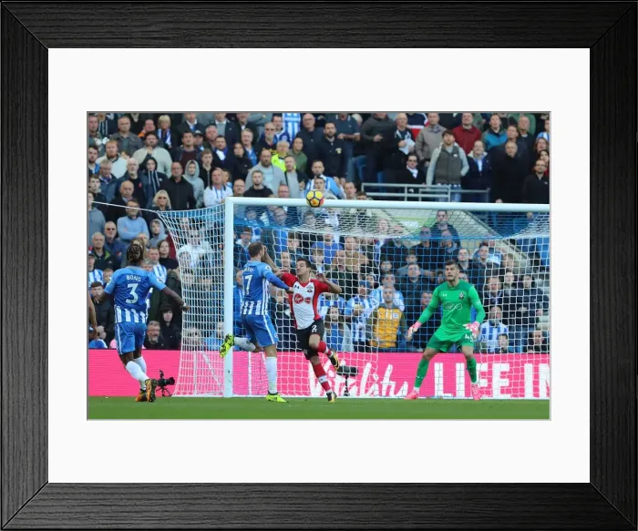 Framed Print : Brighton & Hove Albion's Glenn Murray Scores Dramatic Equalizer Against Southampton (29OCT17) Framed Print : Brighton & Hove Albion's Glenn Murray Scores Dramatic Equalizer Against Southampton (29OCT17)