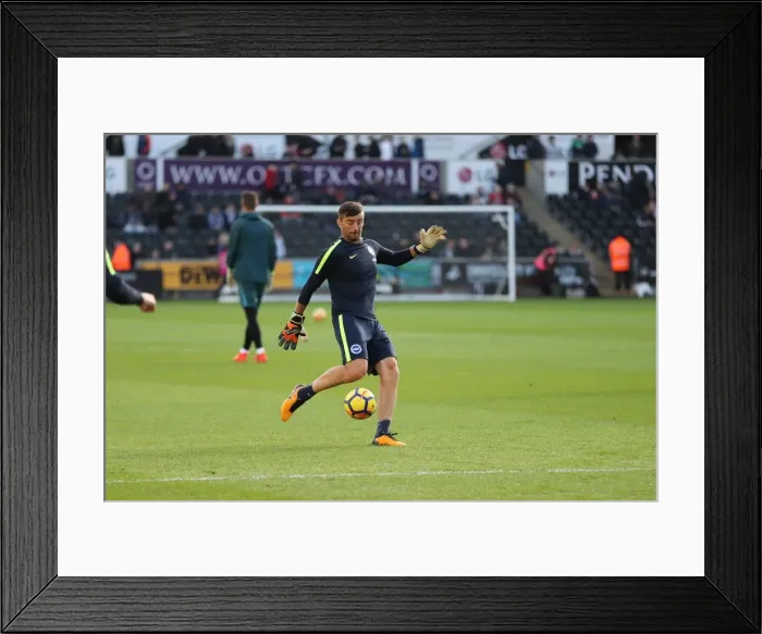 Framed Print : Premier League Showdown: Swansea City vs. Brighton and Hove Albion (04NOV17) Framed Print : Premier League Showdown: Swansea City vs. Brighton and Hove Albion (04NOV17)