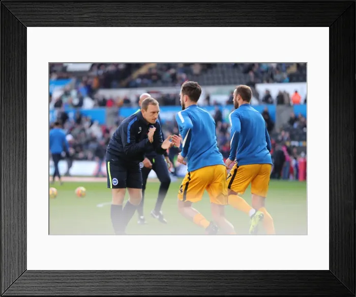 Framed Print : Brighton and Hove Albion vs Swansea City: Premier League Showdown at Liberty Stadium (Nov 2017) Framed Print : Brighton and Hove Albion vs Swansea City: Premier League Showdown at Liberty Stadium (Nov 2017)