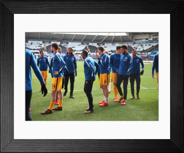 Framed Print : Brighton & Hove Albion vs Swansea City: Premier League Clash - November 4, 2017 Framed Print : Brighton & Hove Albion vs Swansea City: Premier League Clash - November 4, 2017