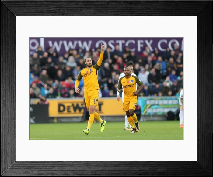 Framed Print : Premier League Showdown: Swansea City vs. Brighton and Hove Albion (04NOV17)