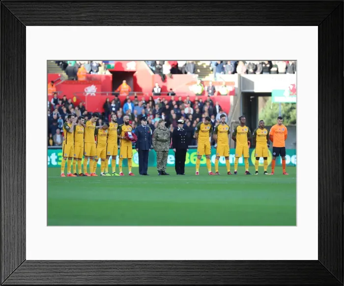Framed Print : Brighton and Hove Albion vs Swansea City: Premier League Showdown at Liberty Stadium (Nov 2017) Framed Print : Brighton and Hove Albion vs Swansea City: Premier League Showdown at Liberty Stadium (Nov 2017)