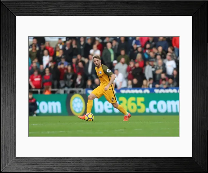 Framed Print : Brighton and Hove Albion v Queens Park Rangers EFL Sky Bet Championship 26DEC16 Framed Print : Brighton and Hove Albion v Queens Park Rangers EFL Sky Bet Championship 26DEC16