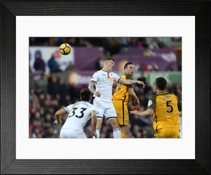 Framed Print : Brighton and Hove Albion vs Swansea City: Premier League Showdown at Liberty Stadium (Nov 2017) Framed Print : Brighton and Hove Albion vs Swansea City: Premier League Showdown at Liberty Stadium (Nov 2017)