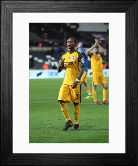 Framed Print : Premier League Showdown: Swansea City vs. Brighton and Hove Albion at Liberty Stadium (Nov. 4, 2017) Framed Print : Premier League Showdown: Swansea City vs. Brighton and Hove Albion at Liberty Stadium (Nov. 4, 2017)