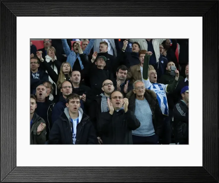 Framed Print : Premier League Showdown: Swansea City vs. Brighton and Hove Albion (4th November 2017)