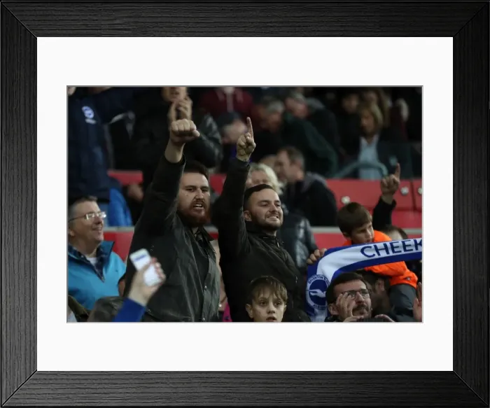 Framed Print : Premier League Showdown: Swansea City vs. Brighton and Hove Albion at Liberty Stadium (Nov. 4, 2017) Framed Print : Premier League Showdown: Swansea City vs. Brighton and Hove Albion at Liberty Stadium (Nov. 4, 2017)