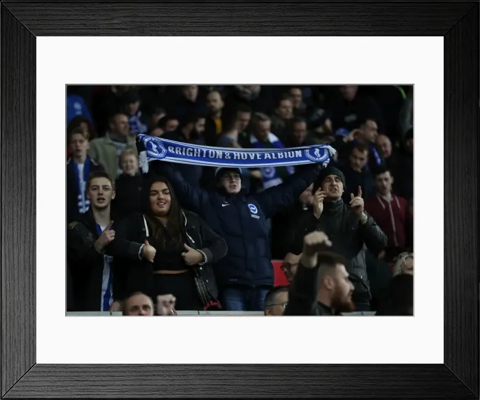 Framed Print : November Showdown: Swansea City vs. Brighton and Hove Albion in Premier League Action (4 Nov 2017) Framed Print : November Showdown: Swansea City vs. Brighton and Hove Albion in Premier League Action (4 Nov 2017)