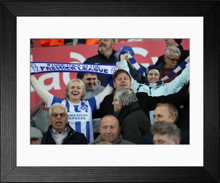 Framed Print : Premier League Showdown: Swansea City vs. Brighton and Hove Albion (04NOV17) Framed Print : Premier League Showdown: Swansea City vs. Brighton and Hove Albion (04NOV17)