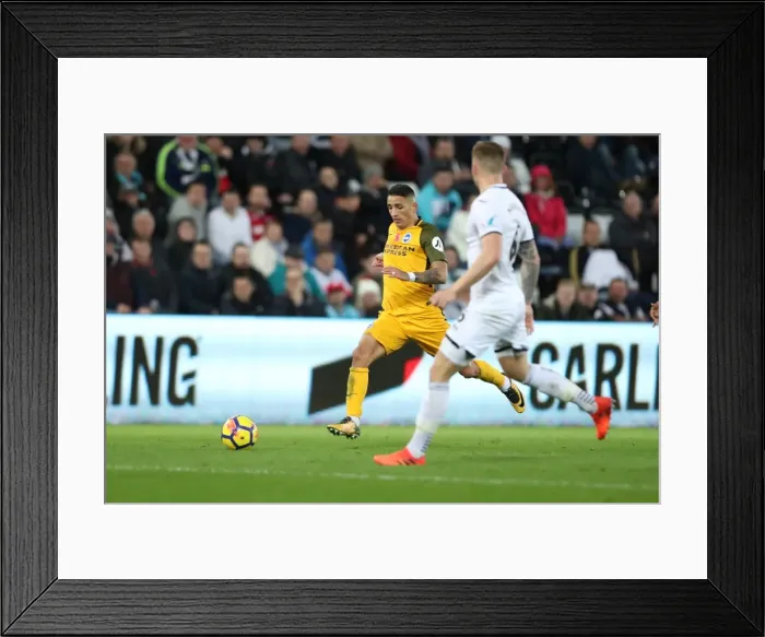 Framed Print : November Showdown: Premier League Clash Between Swansea City and Brighton & Hove Albion (4NOV17) Framed Print : November Showdown: Premier League Clash Between Swansea City and Brighton & Hove Albion (4NOV17)