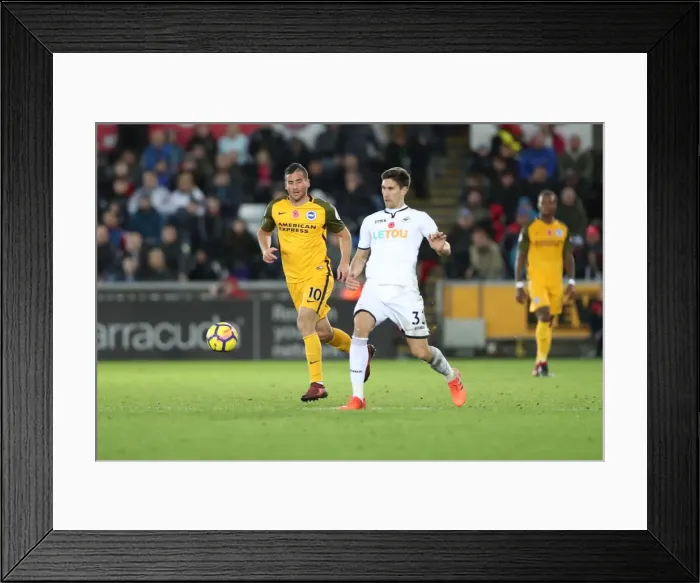 Framed Print : Brighton and Hove Albion vs Swansea City: Premier League Battle at Liberty Stadium (Nov 2017) Framed Print : Brighton and Hove Albion vs Swansea City: Premier League Battle at Liberty Stadium (Nov 2017)