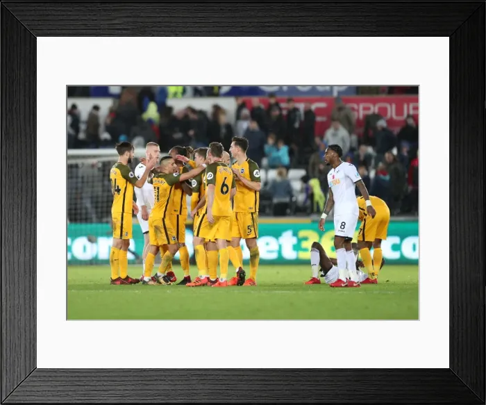 Framed Print : Premier League Showdown: Swansea City vs. Brighton and Hove Albion at Liberty Stadium (Nov. 4, 2017)