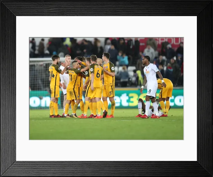 Framed Print : Brighton and Hove Albion vs Swansea City: Premier League Showdown at Liberty Stadium (Nov 2017) Framed Print : Brighton and Hove Albion vs Swansea City: Premier League Showdown at Liberty Stadium (Nov 2017)