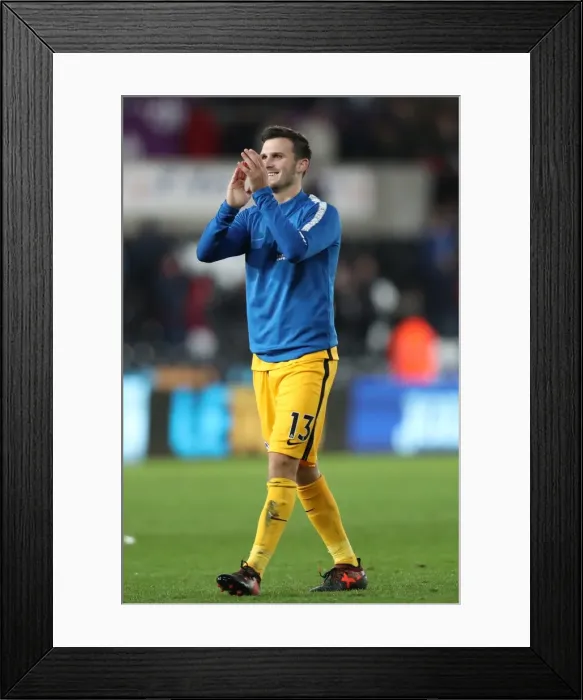 Framed Print : Brighton and Hove Albion vs Swansea City: Premier League Showdown at Liberty Stadium (Nov 2017) Framed Print : Brighton and Hove Albion vs Swansea City: Premier League Showdown at Liberty Stadium (Nov 2017)