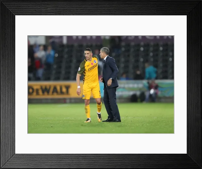 Framed Print : Premier League Showdown: Swansea City vs. Brighton and Hove Albion (04NOV17) Framed Print : Premier League Showdown: Swansea City vs. Brighton and Hove Albion (04NOV17)