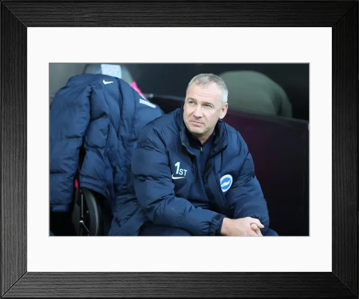 Framed Print : November Showdown: Premier League Clash between Swansea City and Brighton & Hove Albion (4NOV17) Framed Print : November Showdown: Premier League Clash between Swansea City and Brighton & Hove Albion (4NOV17)