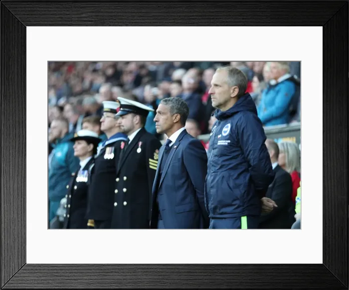 Framed Print : November Showdown: Swansea City vs. Brighton and Hove Albion in Premier League Action (4NOV17) Framed Print : November Showdown: Swansea City vs. Brighton and Hove Albion in Premier League Action (4NOV17)
