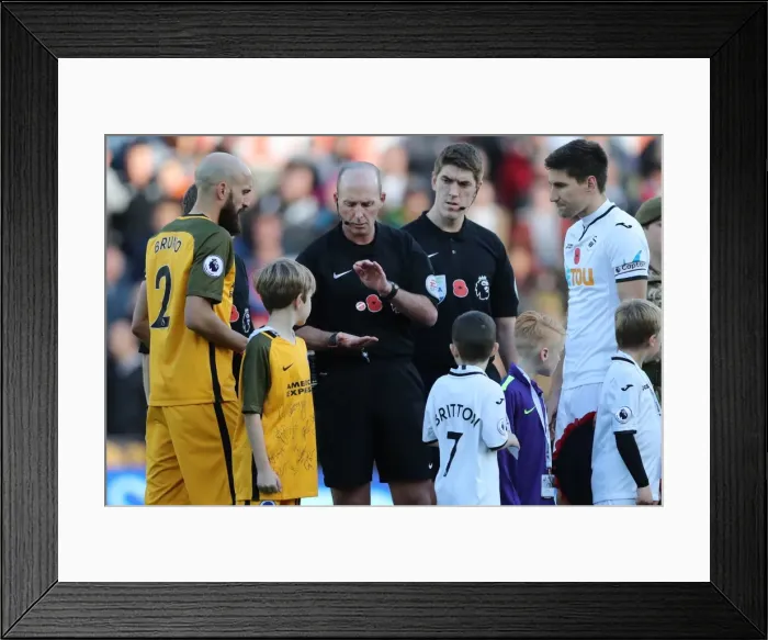 Framed Print : Premier League Showdown: Swansea City vs. Brighton and Hove Albion at Liberty Stadium (Nov. 4, 2017) Framed Print : Premier League Showdown: Swansea City vs. Brighton and Hove Albion at Liberty Stadium (Nov. 4, 2017)