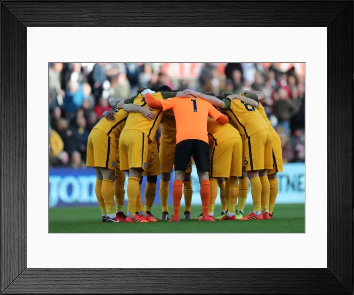 Framed Print : Brighton and Hove Albion vs Swansea City: Premier League Showdown at Liberty Stadium (Nov 2017)