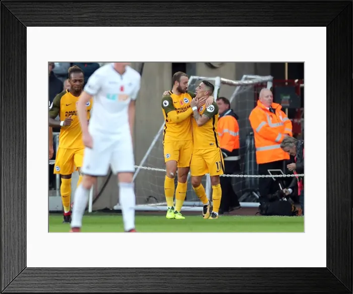 Framed Print : Brighton and Hove Albion vs Swansea City: Premier League Clash at Liberty Stadium (04NOV17) Framed Print : Brighton and Hove Albion vs Swansea City: Premier League Clash at Liberty Stadium (04NOV17)