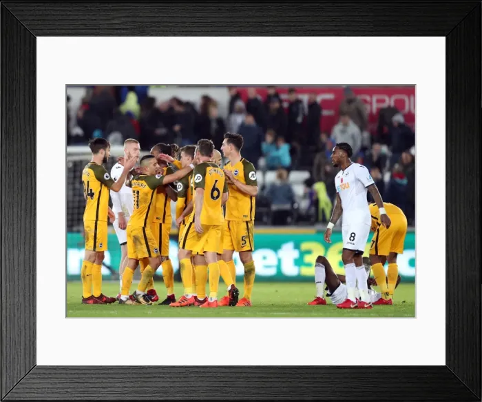 Framed Print : Brighton and Hove Albion vs Swansea City: Premier League Showdown at Liberty Stadium (Nov 2017) Framed Print : Brighton and Hove Albion vs Swansea City: Premier League Showdown at Liberty Stadium (Nov 2017)