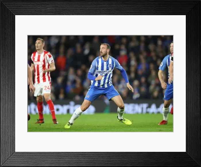 Framed Print : Brighton and Hove Albion vs Stoke City: Premier League Showdown at American Express Community Stadium (November 2017) Framed Print : Brighton and Hove Albion vs Stoke City: Premier League Showdown at American Express Community Stadium (November 2017)