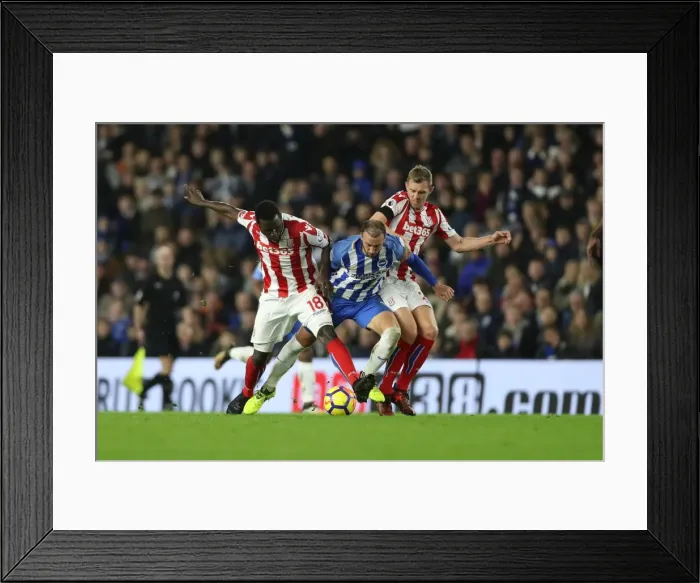 Framed Print : Brighton and Hove Albion vs Stoke City: Premier League Showdown at American Express Community Stadium (November 2017) Framed Print : Brighton and Hove Albion vs Stoke City: Premier League Showdown at American Express Community Stadium (November 2017)
