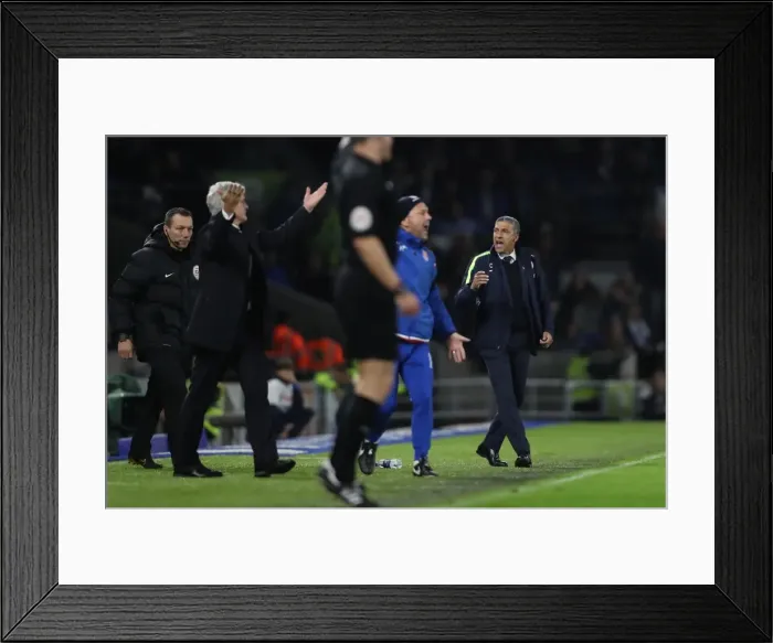 Framed Print : Brighton and Hove Albion vs Stoke City: Premier League Showdown at American Express Community Stadium (November 2017) Framed Print : Brighton and Hove Albion vs Stoke City: Premier League Showdown at American Express Community Stadium (November 2017)