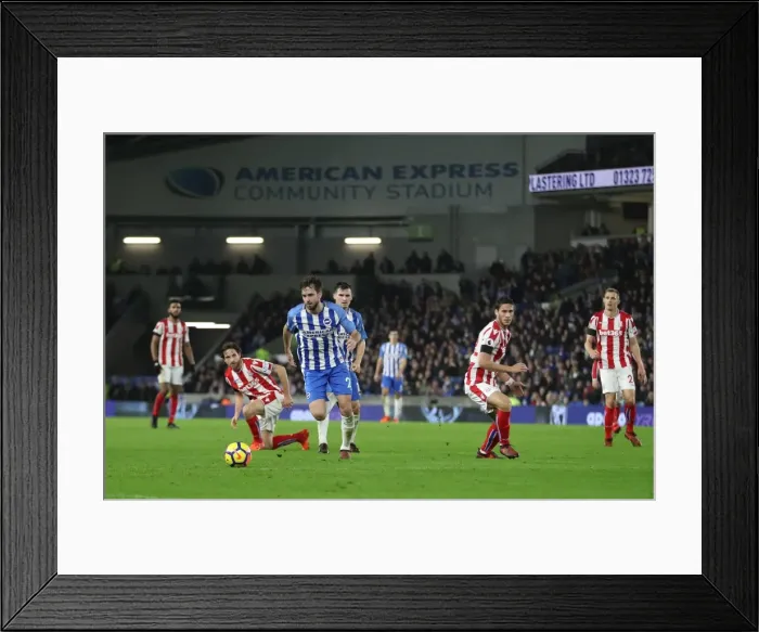 Framed Print : Brighton and Hove Albion vs Stoke City: Premier League Showdown at American Express Community Stadium (November 2017) Framed Print : Brighton and Hove Albion vs Stoke City: Premier League Showdown at American Express Community Stadium (November 2017)