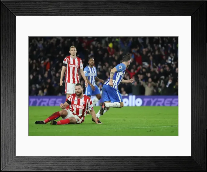 Framed Print : Brighton and Hove Albion vs Stoke City: Premier League Showdown at American Express Community Stadium (November 2017) Framed Print : Brighton and Hove Albion vs Stoke City: Premier League Showdown at American Express Community Stadium (November 2017)