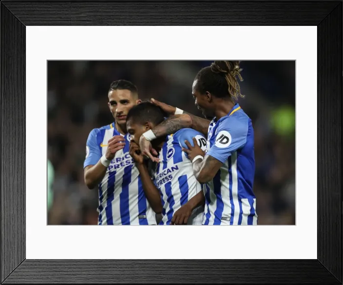 Framed Print : Brighton and Hove Albion vs Stoke City: Premier League Showdown at American Express Community Stadium (November 2017) Framed Print : Brighton and Hove Albion vs Stoke City: Premier League Showdown at American Express Community Stadium (November 2017)