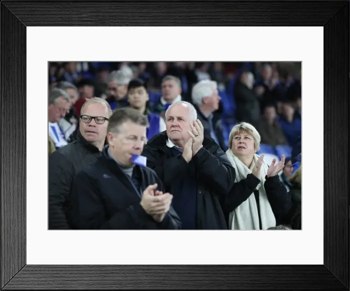 Framed Print : Brighton and Hove Albion vs Stoke City: Premier League Showdown at American Express Community Stadium (November 2017) Framed Print : Brighton and Hove Albion vs Stoke City: Premier League Showdown at American Express Community Stadium (November 2017)