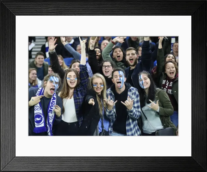 Framed Print : Brighton and Hove Albion vs Stoke City: Premier League Showdown at American Express Community Stadium (November 2017)