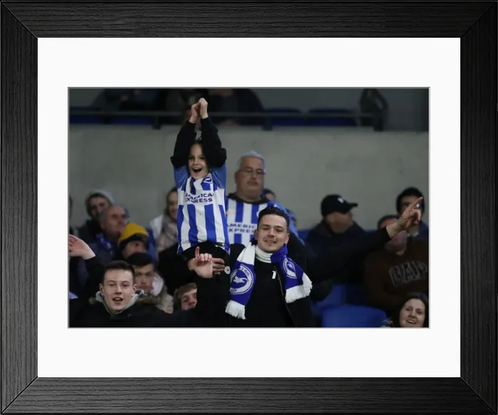 Framed Print : Brighton and Hove Albion vs Stoke City: Premier League Showdown at American Express Community Stadium (November 2017) Framed Print : Brighton and Hove Albion vs Stoke City: Premier League Showdown at American Express Community Stadium (November 2017)