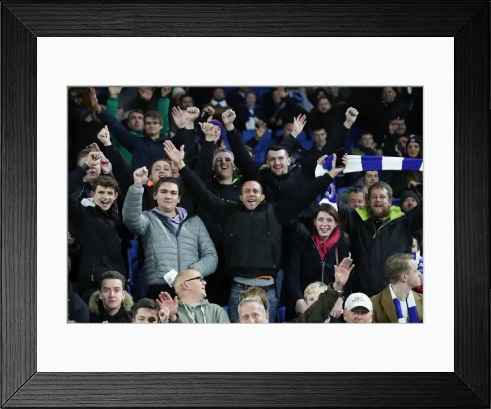 Framed Print : Brighton and Hove Albion vs Stoke City: Premier League Showdown at American Express Community Stadium (November 2017) Framed Print : Brighton and Hove Albion vs Stoke City: Premier League Showdown at American Express Community Stadium (November 2017)