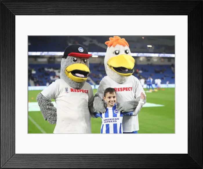 Framed Print : Brighton and Hove Albion vs Stoke City: Premier League Showdown at American Express Community Stadium (November 2017)
