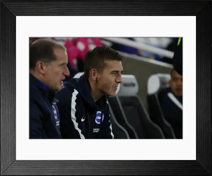 Framed Print : Brighton and Hove Albion vs Stoke City: Premier League Showdown at American Express Community Stadium (November 2017)