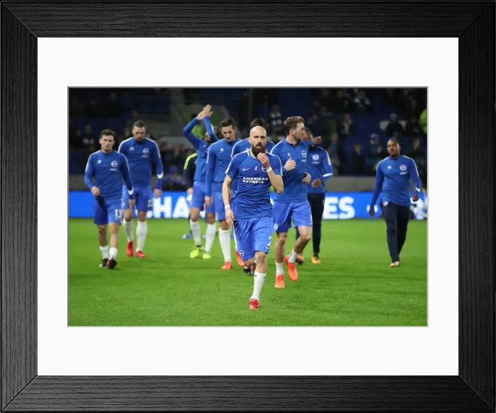 Framed Print : Brighton and Hove Albion vs Stoke City: Premier League Showdown at American Express Community Stadium (November 2017) Framed Print : Brighton and Hove Albion vs Stoke City: Premier League Showdown at American Express Community Stadium (November 2017)