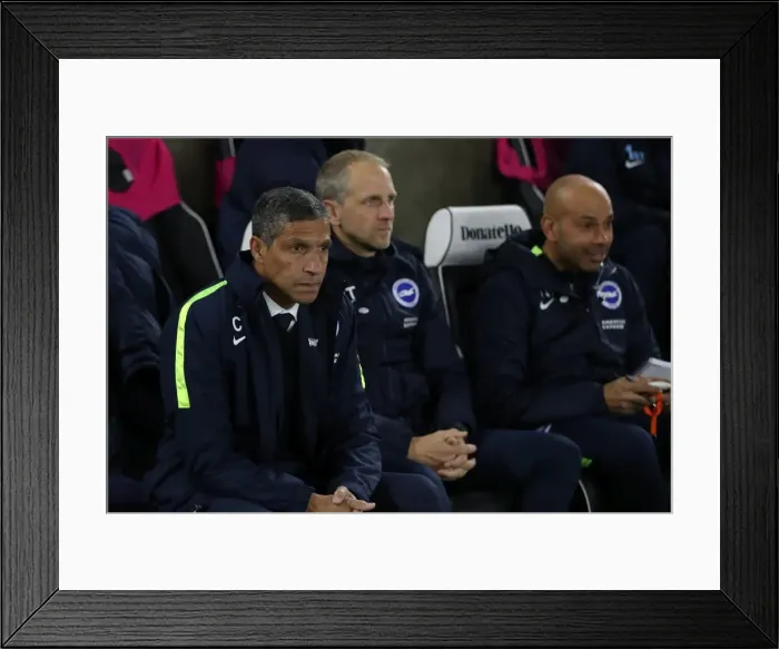 Framed Print : Brighton and Hove Albion vs Stoke City: Premier League Showdown at American Express Community Stadium (November 2017) Framed Print : Brighton and Hove Albion vs Stoke City: Premier League Showdown at American Express Community Stadium (November 2017)