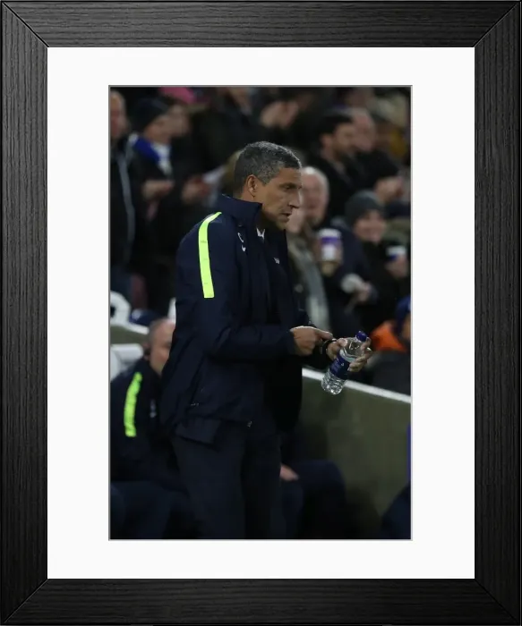 Framed Print : Brighton and Hove Albion vs Stoke City: Premier League Showdown at American Express Community Stadium (November 2017) Framed Print : Brighton and Hove Albion vs Stoke City: Premier League Showdown at American Express Community Stadium (November 2017)