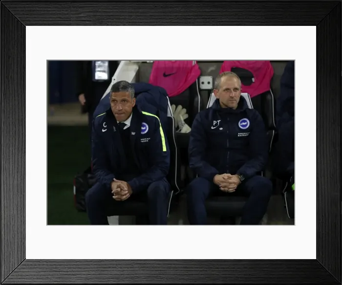 Framed Print : Brighton and Hove Albion vs Stoke City: Premier League Showdown at American Express Community Stadium (November 2017) Framed Print : Brighton and Hove Albion vs Stoke City: Premier League Showdown at American Express Community Stadium (November 2017)