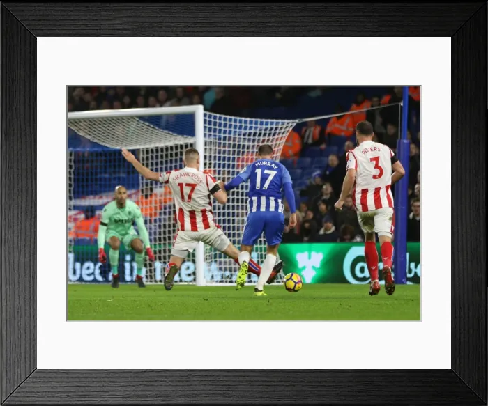 Framed Print : Brighton and Hove Albion vs Stoke City: Premier League Showdown at American Express Community Stadium (November 2017)