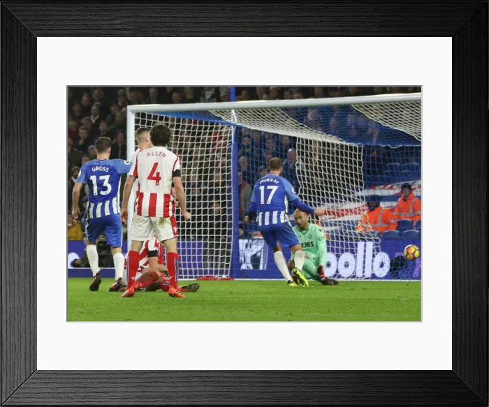 Framed Print : Brighton and Hove Albion vs Stoke City: Premier League Showdown at American Express Community Stadium (November 2017) Framed Print : Brighton and Hove Albion vs Stoke City: Premier League Showdown at American Express Community Stadium (November 2017)