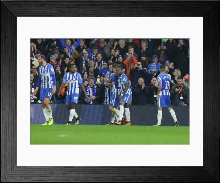 Framed Print : Brighton and Hove Albion vs Stoke City: Premier League Showdown at American Express Community Stadium (November 2017) Framed Print : Brighton and Hove Albion vs Stoke City: Premier League Showdown at American Express Community Stadium (November 2017)