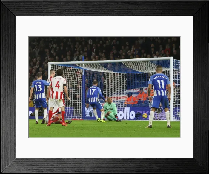 Framed Print : Brighton and Hove Albion vs Stoke City: Premier League Showdown at American Express Community Stadium (November 2017) Framed Print : Brighton and Hove Albion vs Stoke City: Premier League Showdown at American Express Community Stadium (November 2017)
