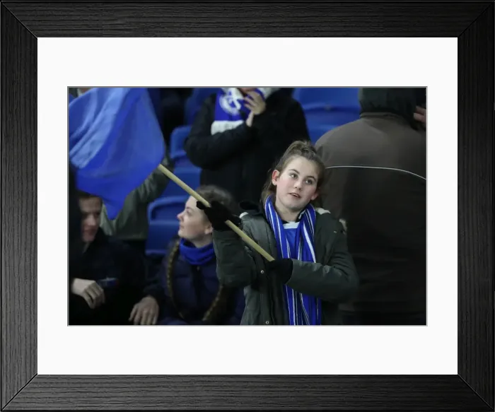 Framed Print : Brighton and Hove Albion vs. Crystal Palace: A Premier League Showdown at American Express Community Stadium (November 2017) Framed Print : Brighton and Hove Albion vs. Crystal Palace: A Premier League Showdown at American Express Community Stadium (November 2017)
