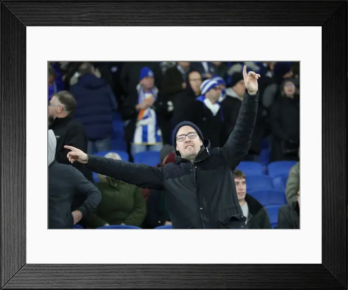 Framed Print : Brighton and Hove Albion vs. Crystal Palace: A Premier League Showdown at American Express Community Stadium (November 2017) Framed Print : Brighton and Hove Albion vs. Crystal Palace: A Premier League Showdown at American Express Community Stadium (November 2017)