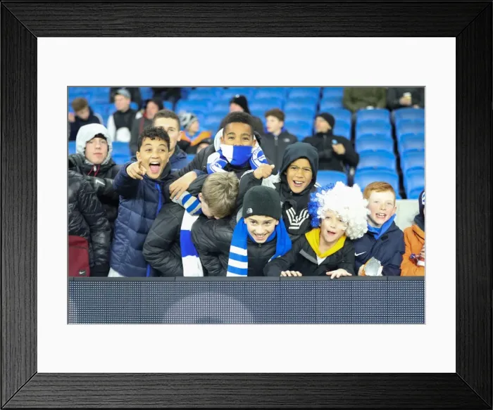 Framed Print : Brighton and Hove Albion vs. Crystal Palace: A Premier League Showdown at American Express Community Stadium (Nov 2017) Framed Print : Brighton and Hove Albion vs. Crystal Palace: A Premier League Showdown at American Express Community Stadium (Nov 2017)