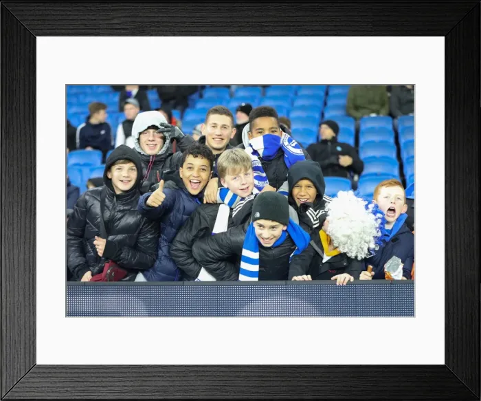 Framed Print : Intense Premier League Showdown: Brighton & Hove Albion vs. Crystal Palace (November 2017) Framed Print : Intense Premier League Showdown: Brighton & Hove Albion vs. Crystal Palace (November 2017)